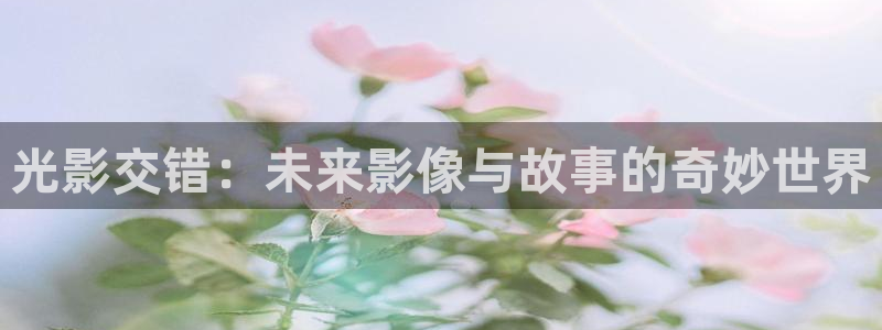 国产理论电影网站：光影交错：未来影像与故事的奇妙世界
