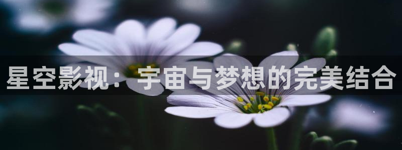 驰策驰影院理论：星空影视：宇宙与梦想的完美结合