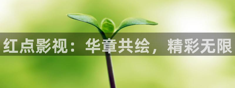 飘花理论电影院：红点影视：华章共绘，精彩无限