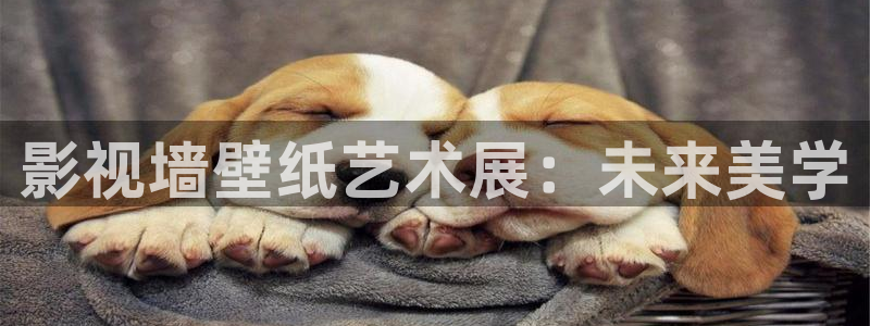 理论片电影在线观看：影视墙壁纸艺术展：未来美学