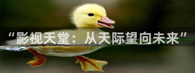 6080理论在线：“影视天堂：从天际望向未来”
