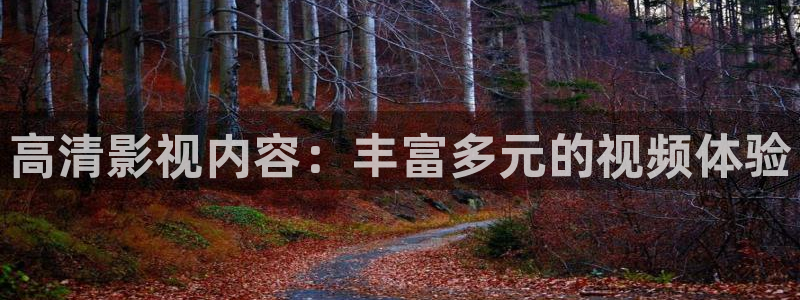 理论电影网在线观看：高清影视内容：丰富多元的视频体验